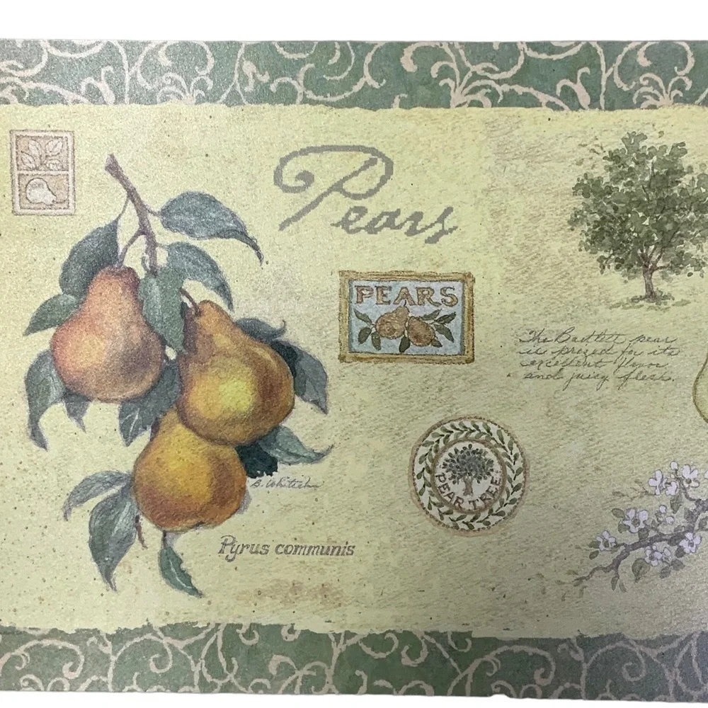 Apple Pear Orchard Placemats  Reversible Easy Care Farmhouse Set of 4 Red Green